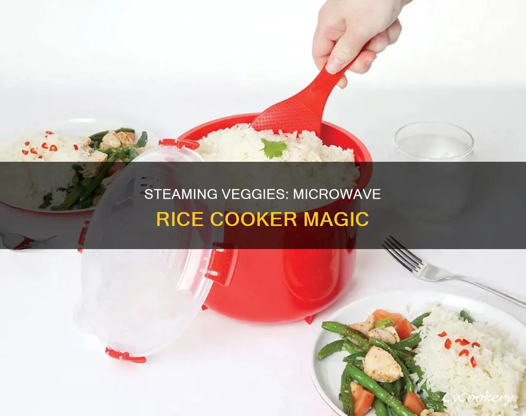 how to steam veggies in microwave rice cooker