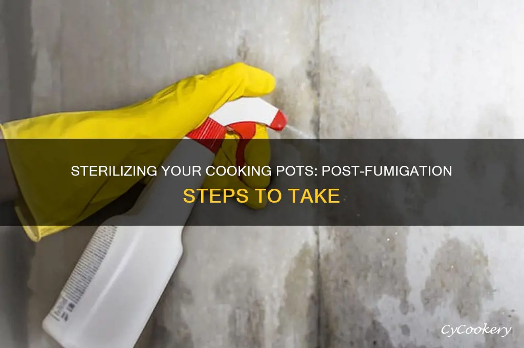how to sterilize cooking pots after bug fumigation