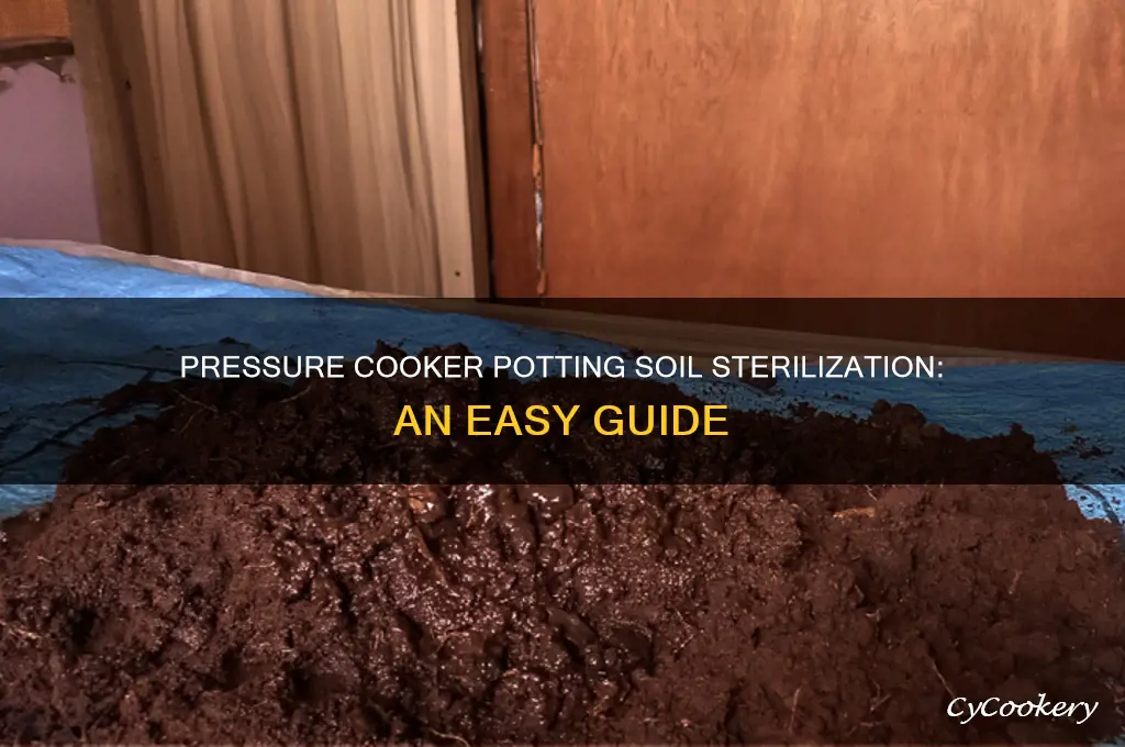 how to sterilize potting soil with pressure cooker