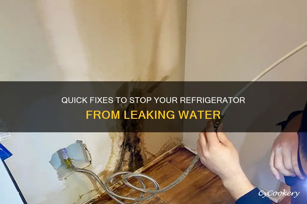 how to stop a refrigerator from leaking