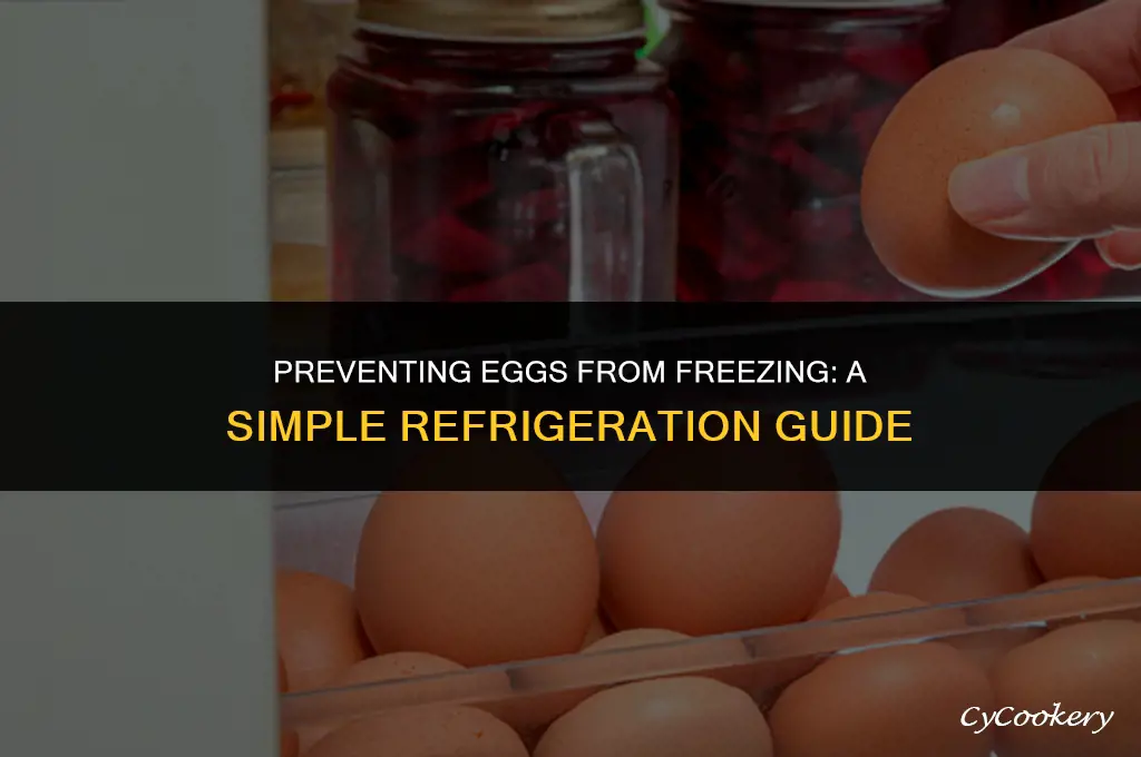 how to stop eggs from freezing in the refrigerator