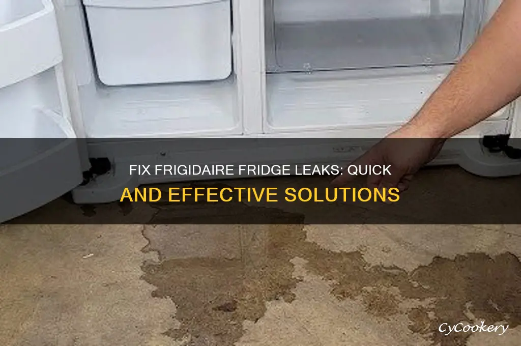 how to stop frigidaire refrigerator from leaking