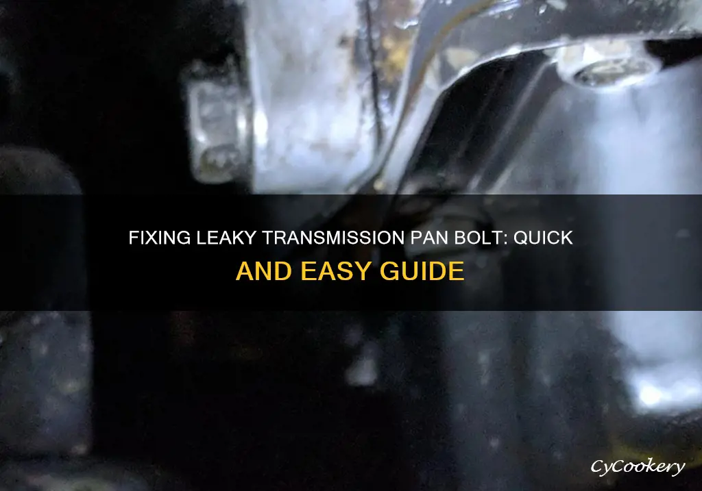 how to stop leaky transmission pan bolt