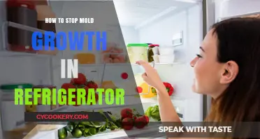Prevent Mold in Your Fridge: Effective Tips to Keep It Clean