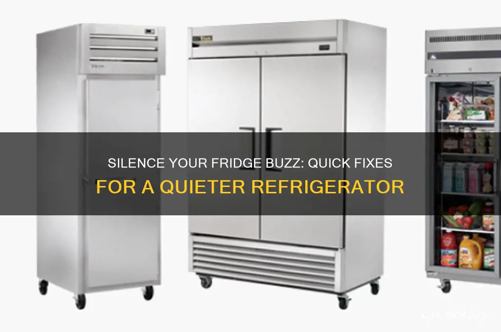 how to stop my refrigerator from buzzing