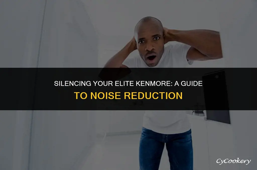 how to stop noises from elite kenmore refrigerator