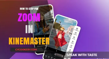 Stop Pan and Zoom in KineMaster: Easy Tricks