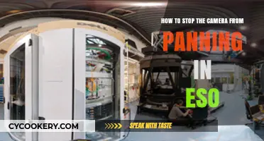 Fixing ESO's Wandering Camera: A Guide to Stop Panning