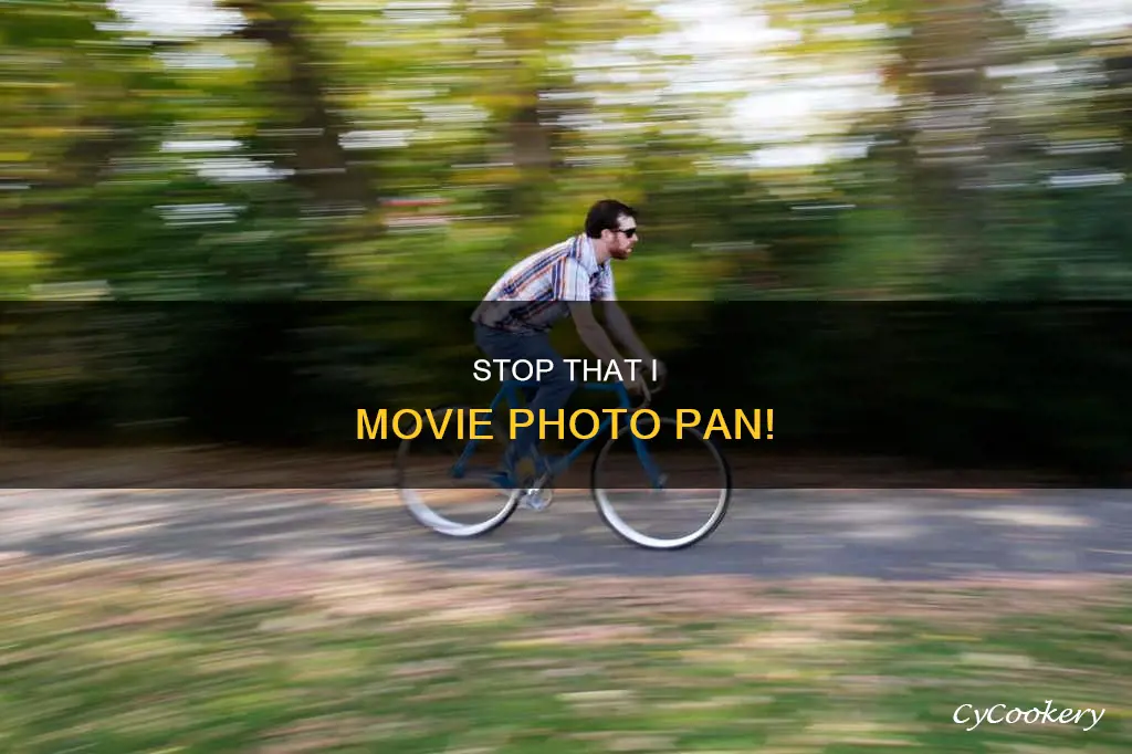 how to stop the phot pan in I movie