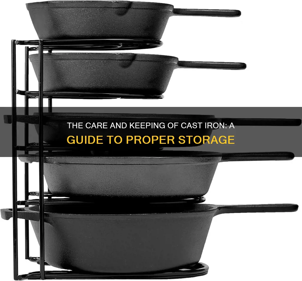 how to store a cadt iron pan