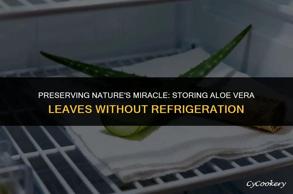 how to store aloe vera leaf without refrigeration