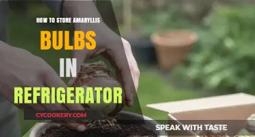 Storing Amaryllis Bulbs in the Fridge: A Simple Guide