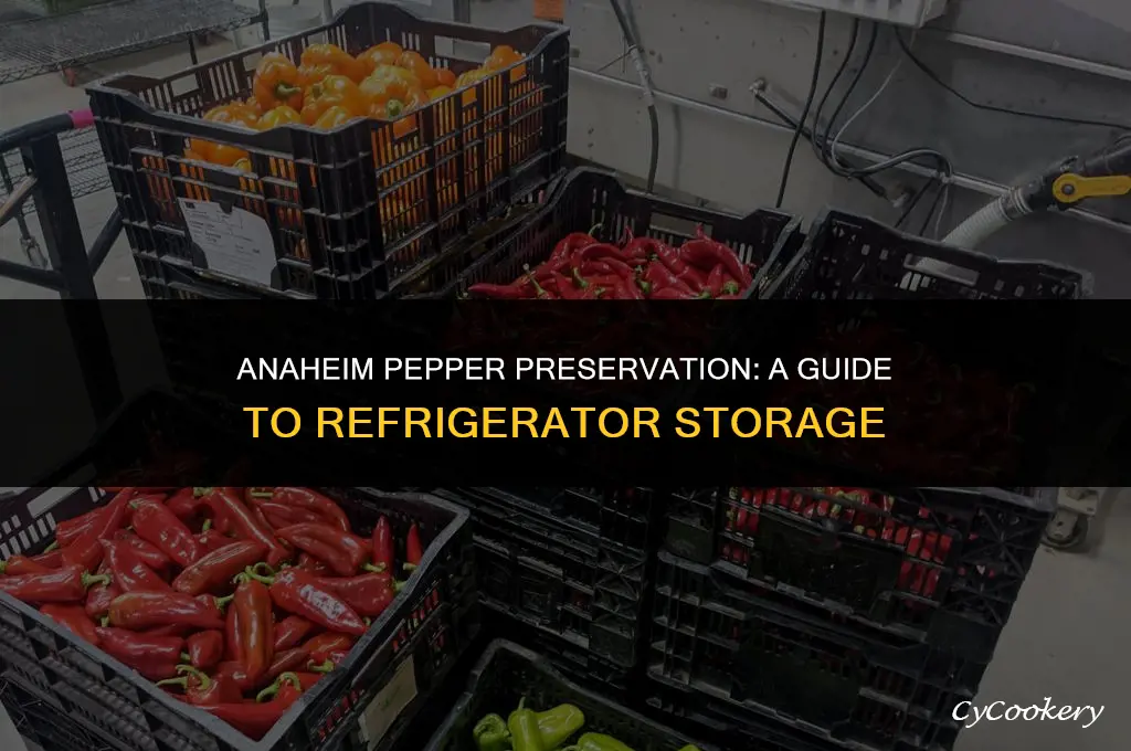 how to store anaheim peppers in the refrigerator