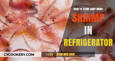 Preserving Freshness: The Ultimate Guide to Storing Baby Brine Shrimp