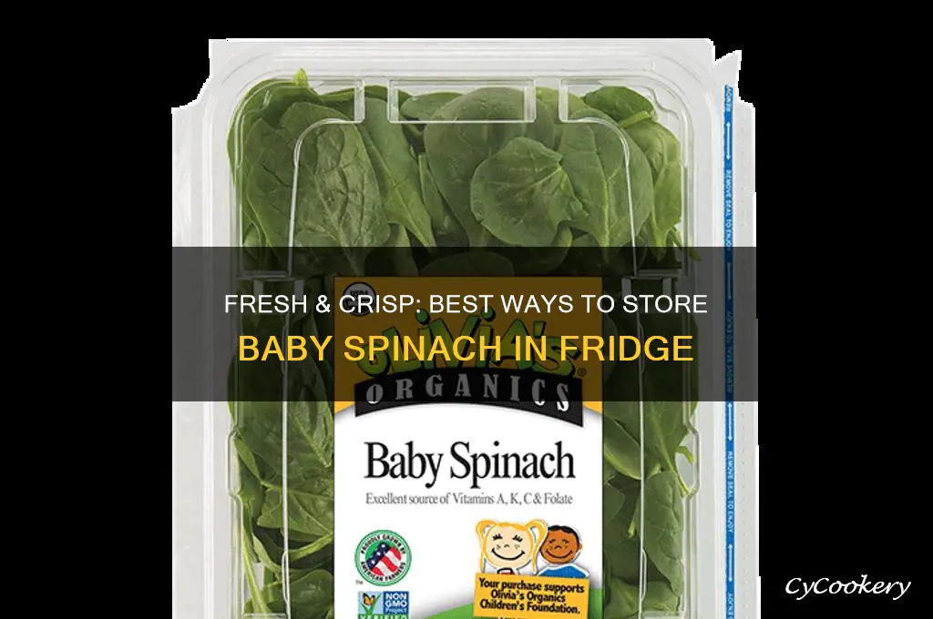 how to store baby spinach in refrigerator