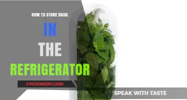 Fresh Basil Storage: Easy Refrigerator Tips for Longer Shelf Life