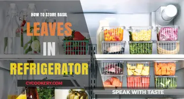 Fresh Basil Storage: Easy Refrigerator Tips to Keep Leaves Green