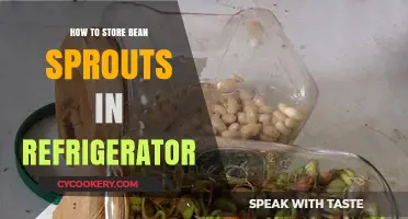 Easy Tips for Storing Bean Sprouts Fresh in Your Fridge