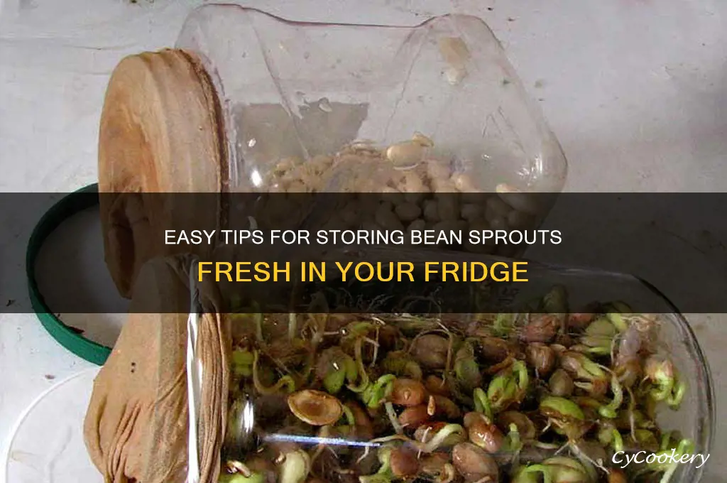 how to store bean sprouts in refrigerator