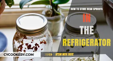 Fresh and Crunchy: The Ultimate Guide to Storing Bean Sprouts