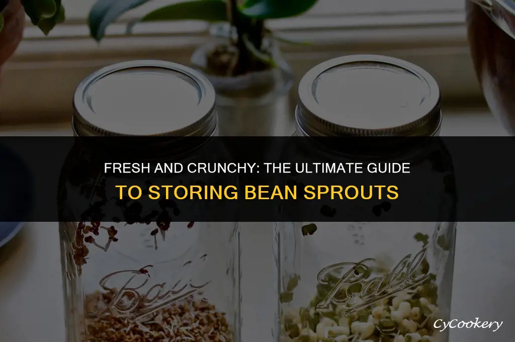 how to store bean sprouts in the refrigerator