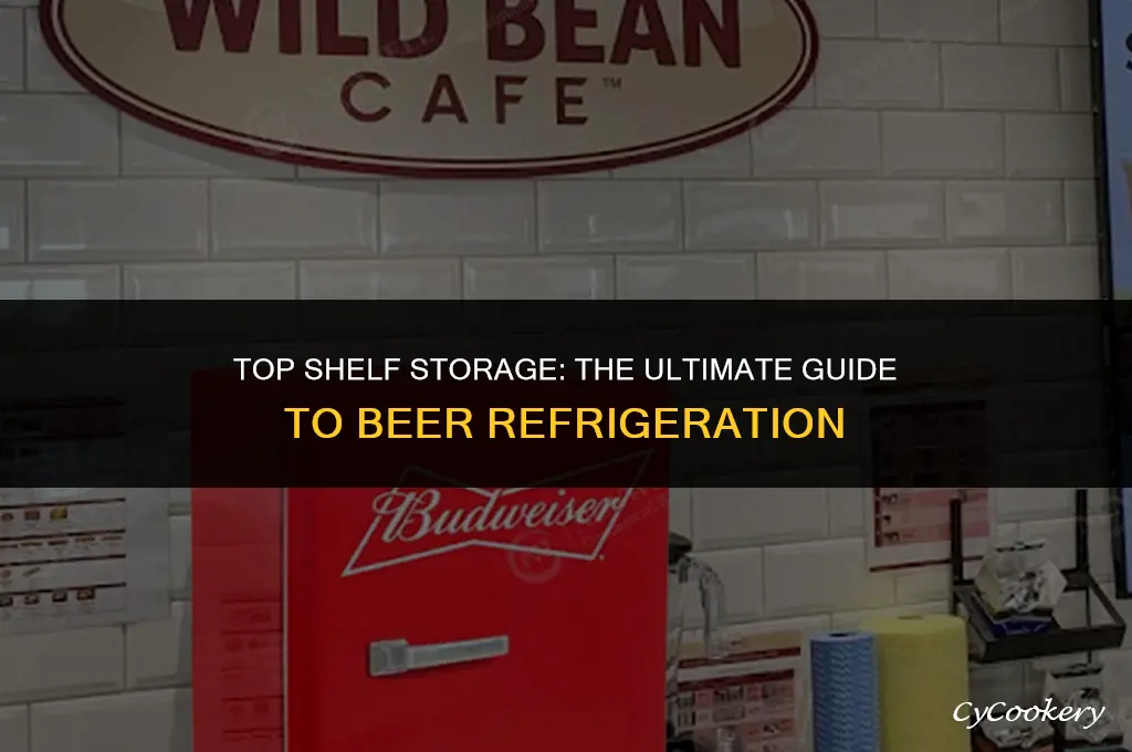 how to store beer on top shelf refrigerator