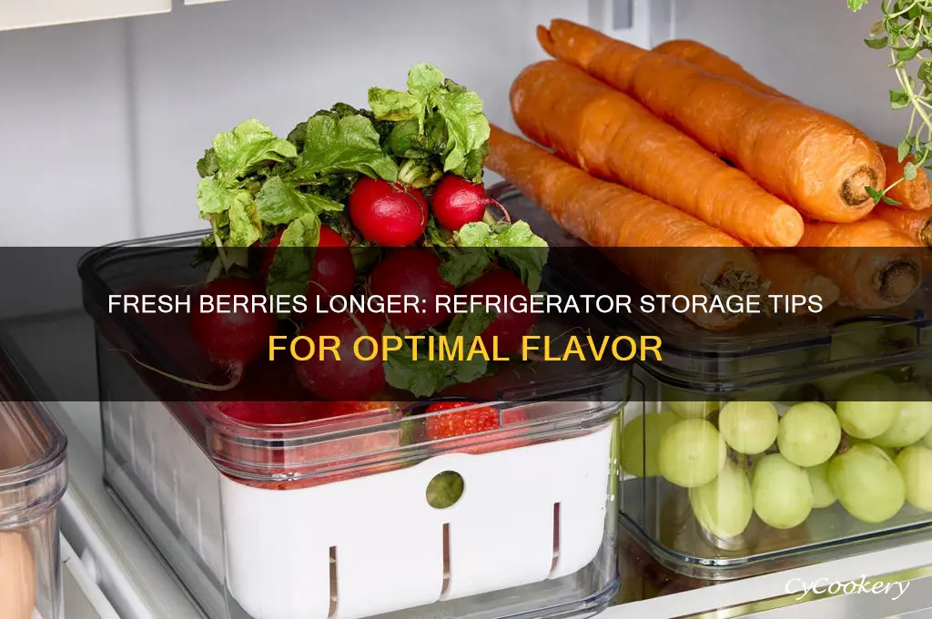 how to store berries in the refrigerator