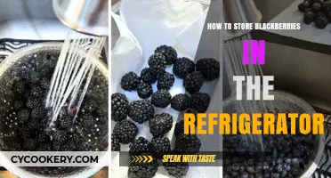 Fresh Blackberries Longer: Refrigerator Storage Tips for Maximum Shelf Life