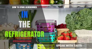 Fresh Blueberries Longer: Refrigerator Storage Tips for Optimal Taste