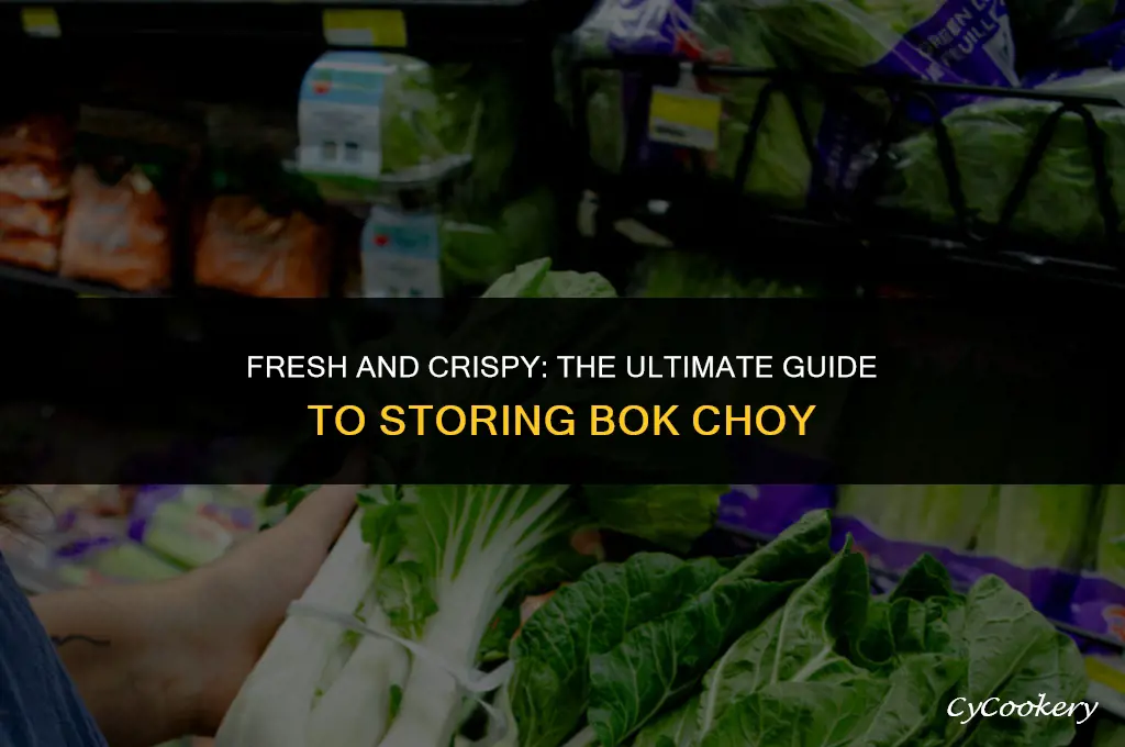 how to store bok choy in refrigerator crisper section