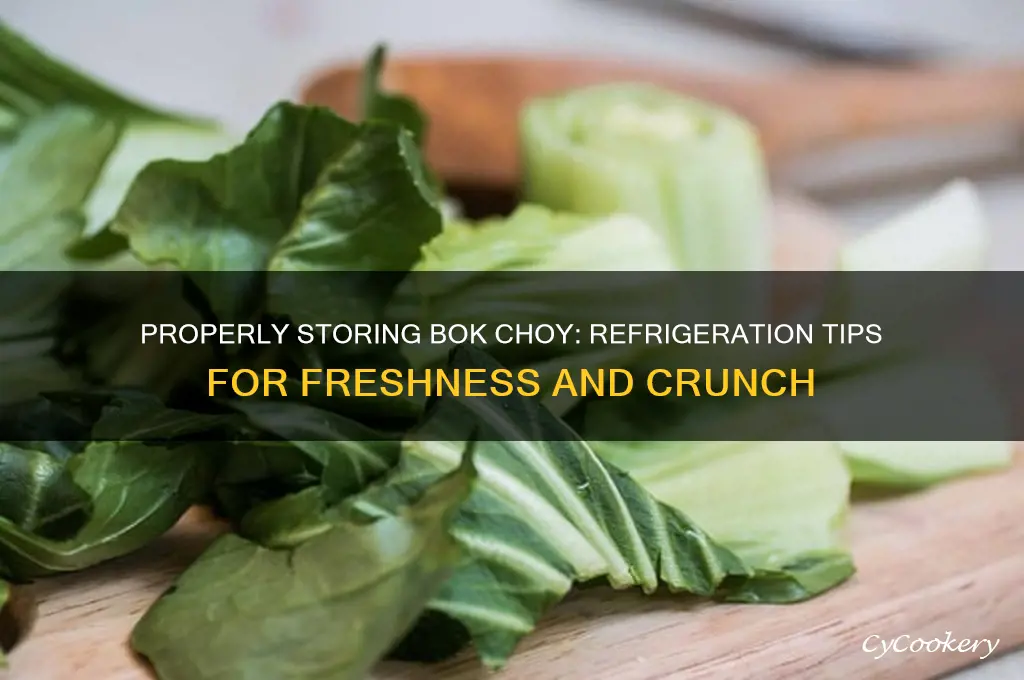 how to store bok choy in the refrigerator
