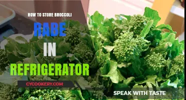 Properly Storing Broccoli Rabe in Your Fridge for Freshness and Flavor