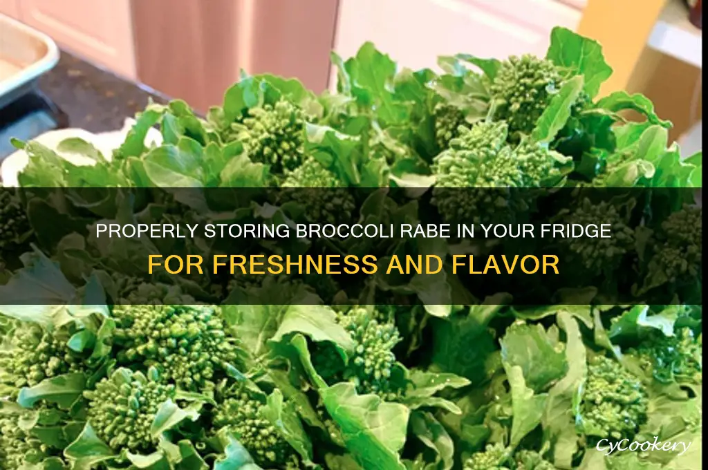 how to store broccoli rabe in refrigerator