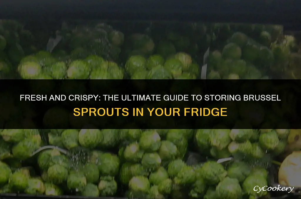 how to store brussel sprouts in the refrigerator