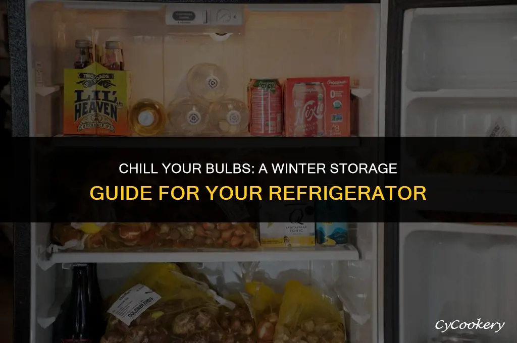how to store bulbs for winter in refrigerator