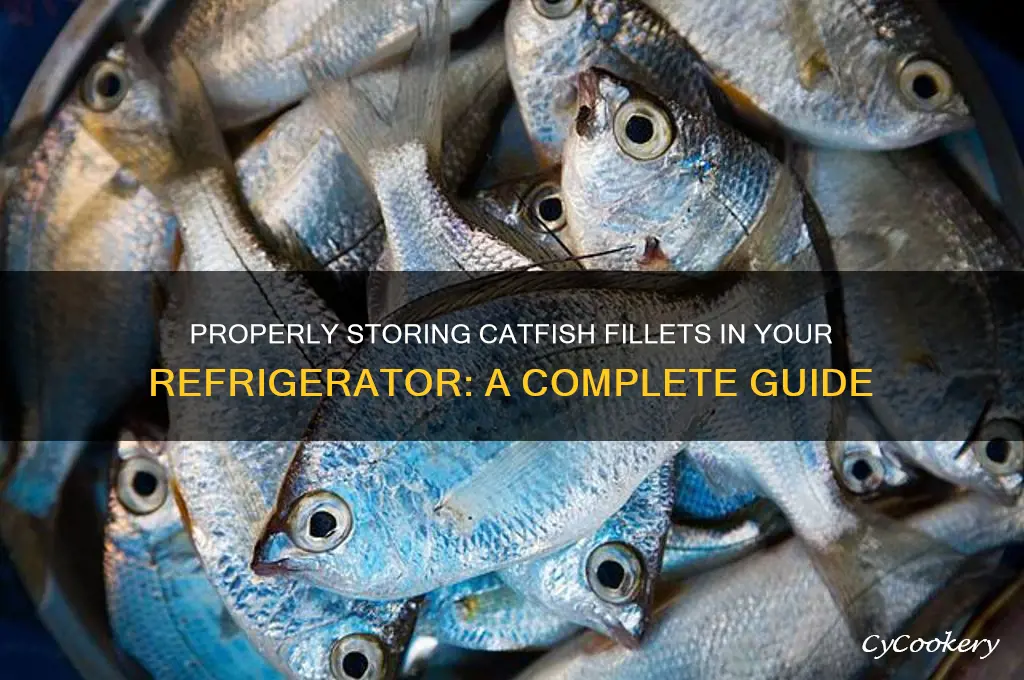 how to store catfish fillets in refrigerator