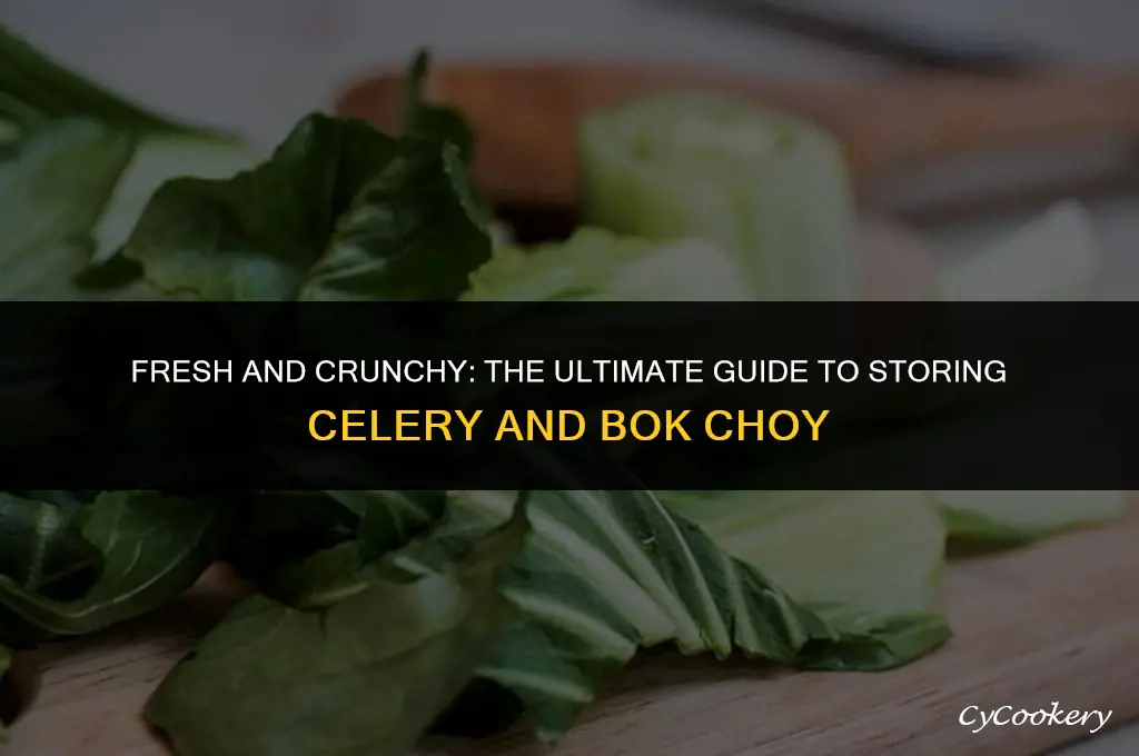 how to store celery and bok choy in refrigerator