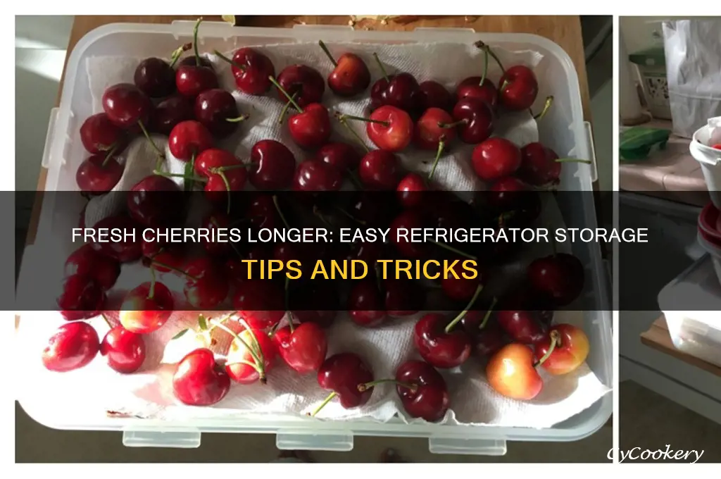 how to store cherries in the refrigerator