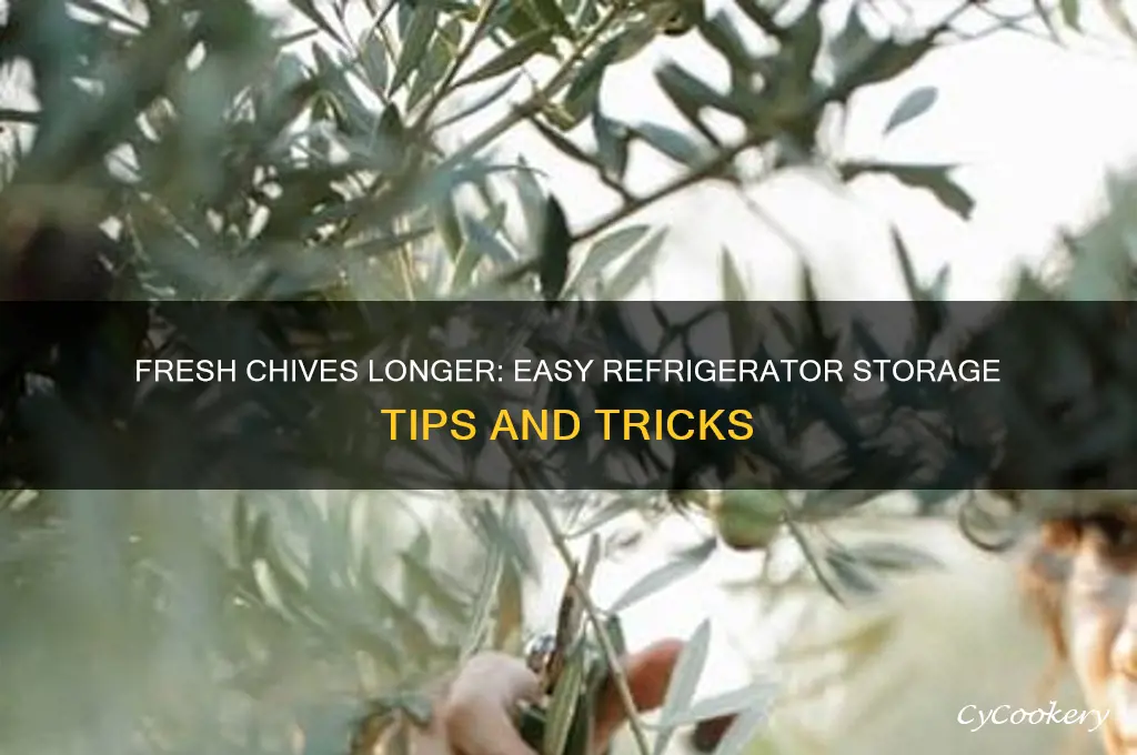 how to store chives in the refrigerator