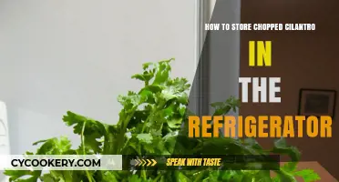 Freshness Preserved: The Ultimate Guide to Storing Chopped Cilantro