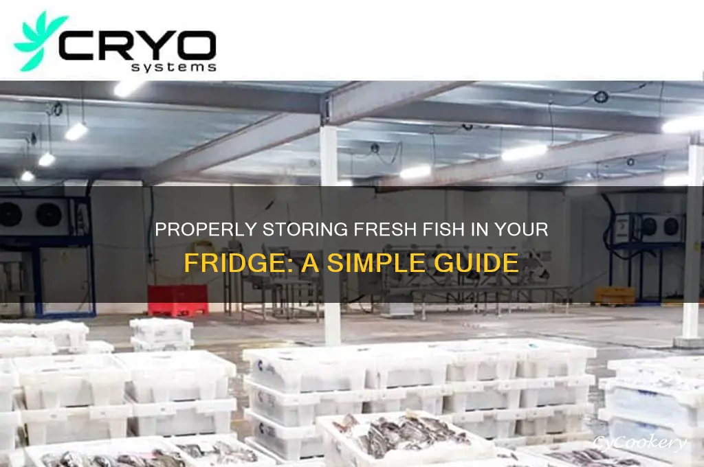 how to store clean fish in refrigerator