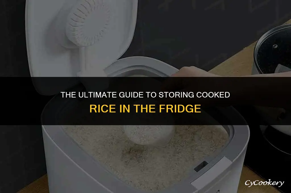 how to store cooked rice in the refrigerator