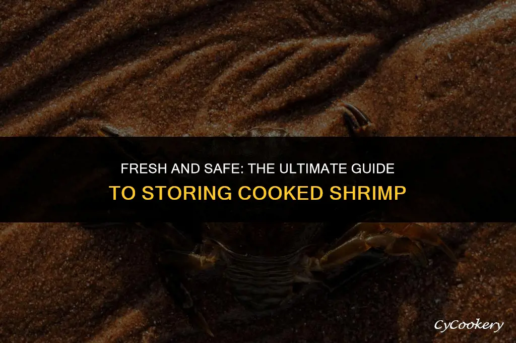 how to store cooked shrimp in the refrigerator