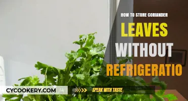 Fresh Coriander Leaves: Simple Storage Tips Without Refrigeration