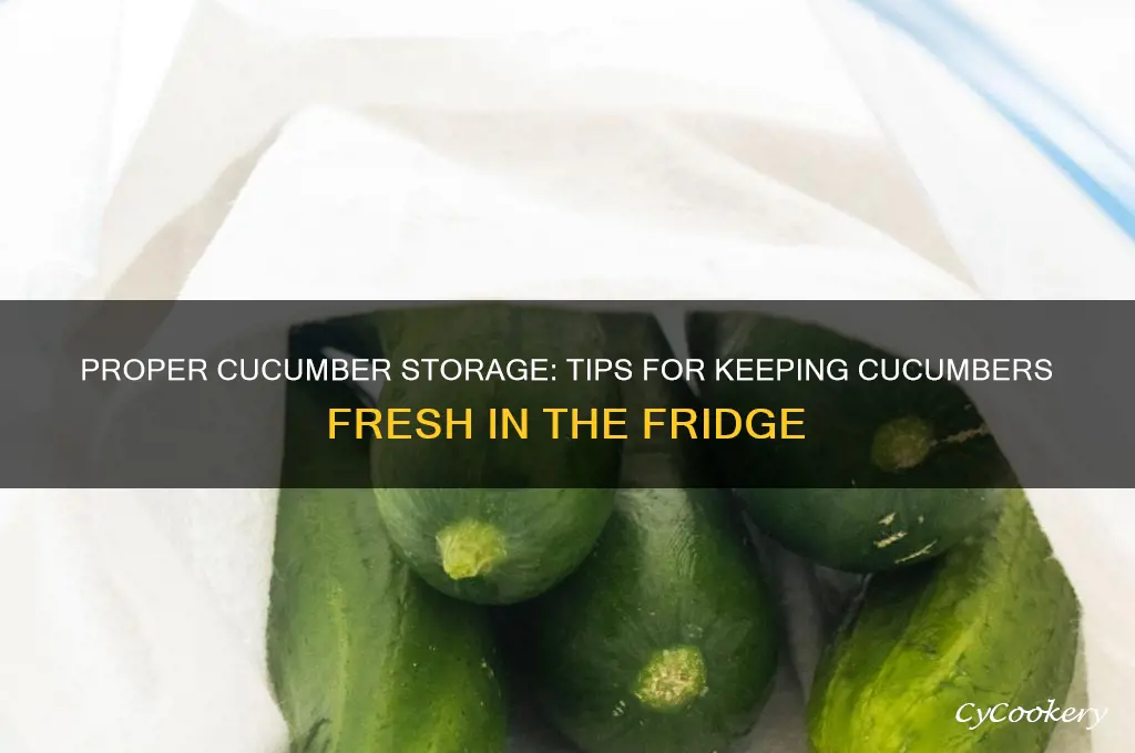 how to store cucumber in the refrigerator