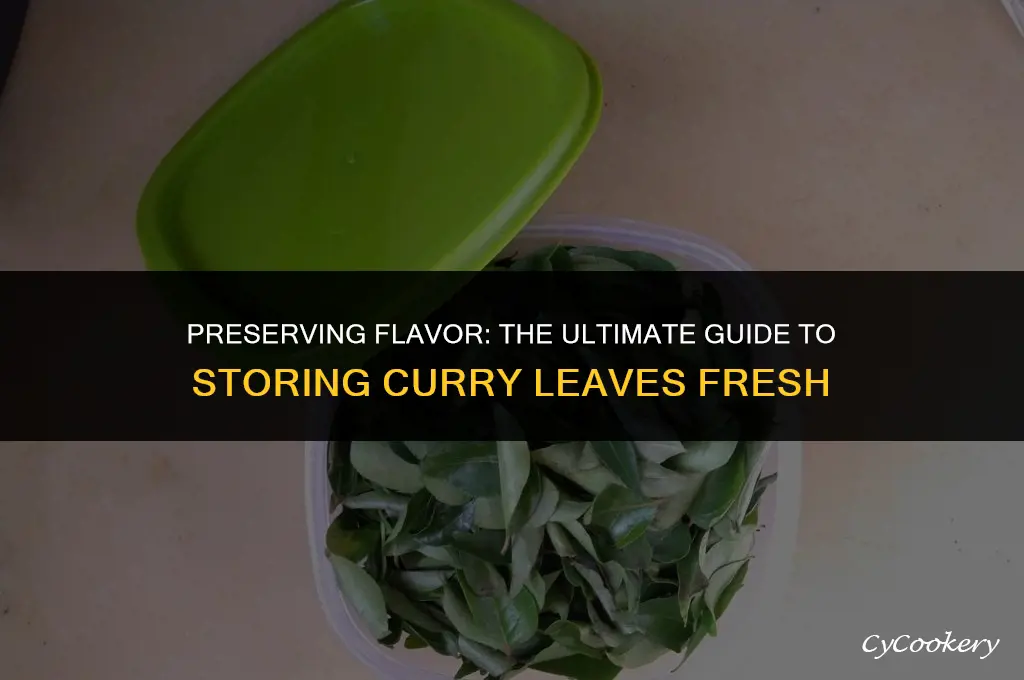 how to store curry leaves fresh in refrigerator