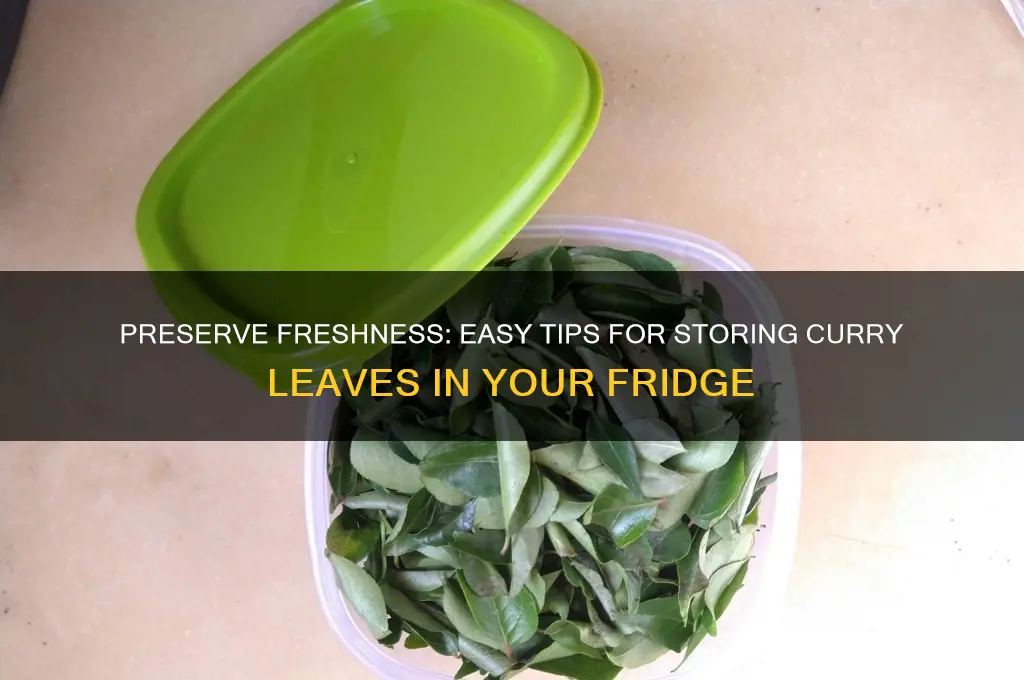 how to store curry leaves in refrigerator