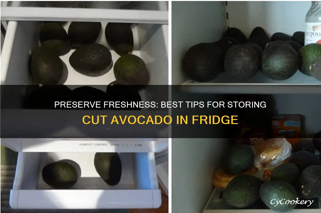 how to store cut avocado in refrigerator