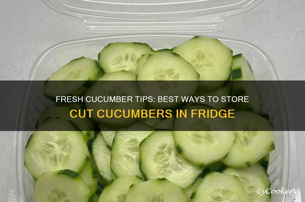 how to store cut cucumbers in refrigerator