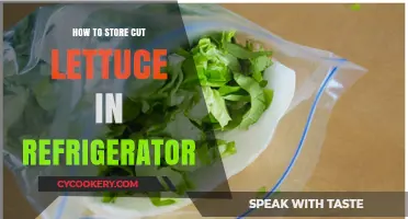 Fresh & Crisp: Best Ways to Store Cut Lettuce in Your Fridge